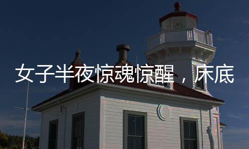 女子半夜驚魂驚醒，床底揪出神秘黑衣男——驚魂夜的驚悚經(jīng)歷