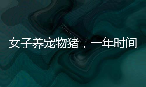 女子養(yǎng)寵物豬，一年時(shí)間猛長到300多斤，寵物養(yǎng)肥記