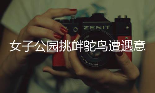女子公園挑釁鴕鳥遭遇意外，一腳踹爛羽絨服事件曝光
