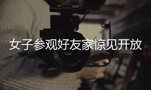 女子參觀好友家驚見(jiàn)開(kāi)放式廁所設(shè)計(jì)，一場(chǎng)關(guān)于私密與開(kāi)放的討論