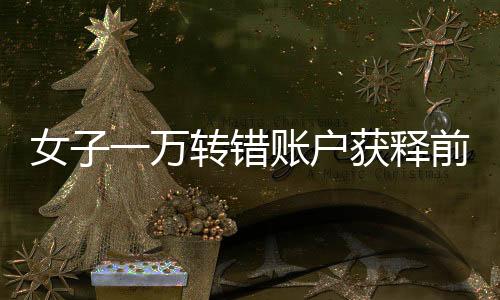 女子一萬轉(zhuǎn)錯賬戶獲釋前需支付三千感謝費事件
