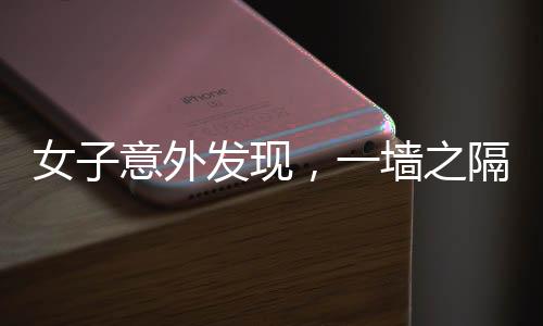 女子意外發(fā)現，一墻之隔藏玄機，自家墻壁竟通向隔壁柜子