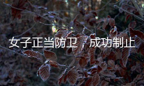 女子正當(dāng)防衛(wèi)，成功制止踹門打人男子——全面揭示事件過(guò)程