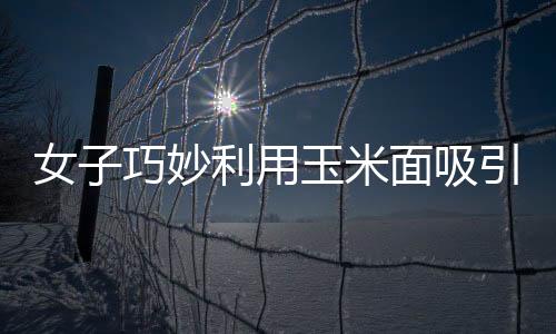 女子巧妙利用玉米面吸引二級保護動物，人與自然和諧共生的美好瞬間