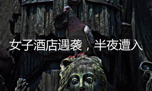 女子酒店遇襲，半夜遭入室猥褻事件揭秘，警方迅速介入調(diào)查