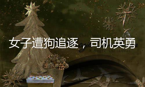 女子遭狗追逐，司機(jī)英勇驅(qū)趕——善良與勇敢在我們身邊