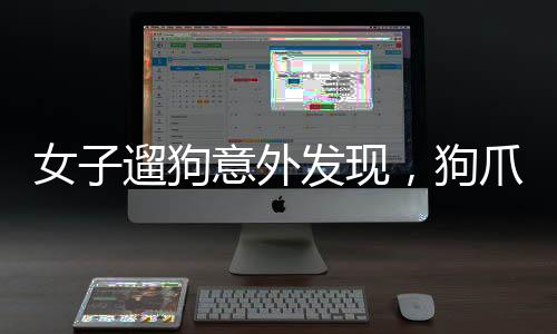 女子遛狗意外發(fā)現(xiàn)，狗爪夾回一顆價(jià)值連城的金豆