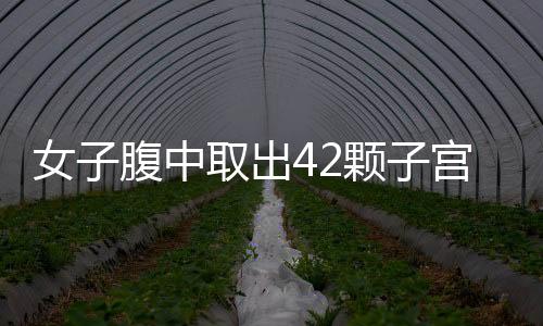 女子腹中取出42顆子宮肌瘤，現(xiàn)代醫(yī)學的奇跡與女性的健康警示