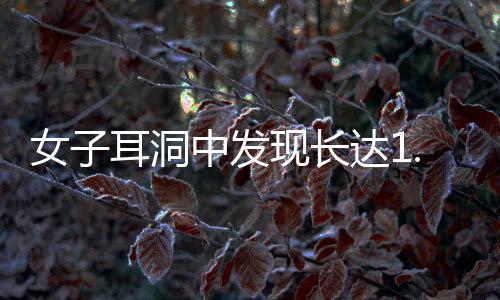 女子耳洞中發(fā)現(xiàn)長達1.5厘米的瘤狀物，醫(yī)學界正對其進行研究探討