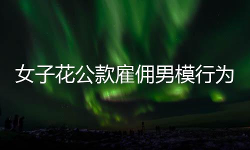 女子花公款雇傭男模行為揭秘，情感消費背后的代價與社會警示