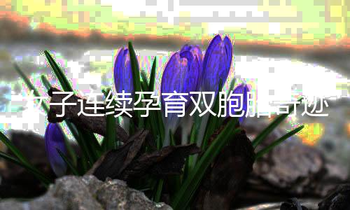 女子連續(xù)孕育雙胞胎奇跡，四個(gè)月再迎新生兒誕生！