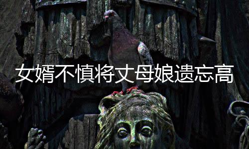 女婿不慎將丈母娘遺忘高速，緊急救援與溫馨提醒