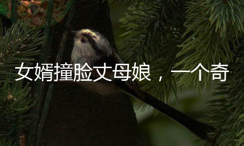 女婿撞臉丈母娘，一個奇特的現(xiàn)象觀察與深度解析