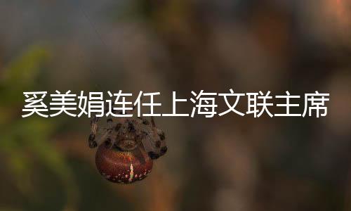 奚美娟連任上海文聯(lián)主席，文藝界的璀璨明星續(xù)寫新篇章