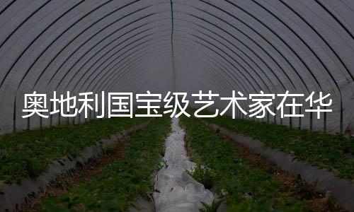 奧地利國寶級藝術(shù)家在華首個美術(shù)館個展亮相上海黃浦江畔