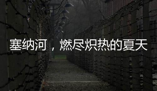 塞納河，燃盡熾熱的夏天