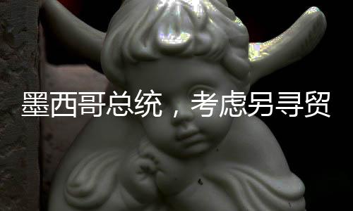 墨西哥總統(tǒng)，考慮另尋貿(mào)易伙伴以分散風(fēng)險(xiǎn)應(yīng)對(duì)全球經(jīng)濟(jì)變化