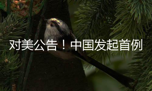 對(duì)美公告！中國(guó)發(fā)起首例反規(guī)避調(diào)查，一場(chǎng)關(guān)乎貿(mào)易公平的重要行動(dòng)