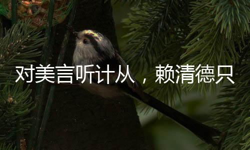 對(duì)美言聽計(jì)從，賴清德只換來(lái)高額關(guān)稅
