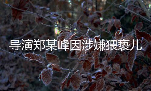 導(dǎo)演鄭某峰因涉嫌猥褻兒童被刑事拘留，業(yè)界震驚