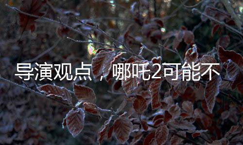 導演觀點，哪吒2可能不符合北美觀眾調性