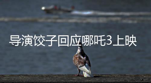 導演餃子回應哪吒3上映時間，最新動態(tài)解讀一二三四五六七八九十