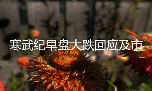 寒武紀(jì)早盤大跌回應(yīng)及市場觀察
