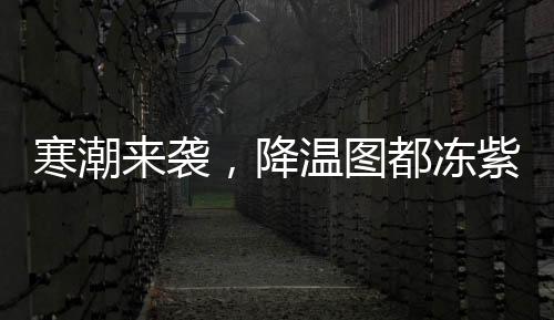 寒潮來襲，降溫圖都凍紫了——天氣預(yù)警與應(yīng)對指南