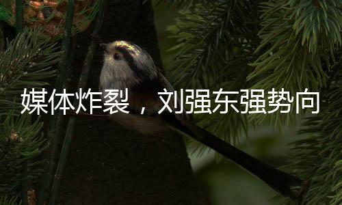 媒體炸裂，劉強東強勢向美團宣戰(zhàn)！兩大巨頭開啟商業(yè)爭霸新篇章