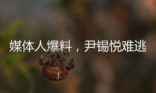 媒體人爆料，尹錫悅難逃牢獄之災(zāi)