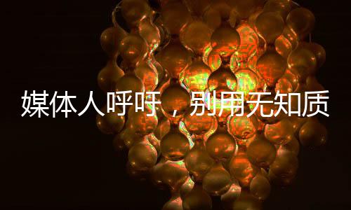 媒體人呼吁，別用無知質(zhì)疑張志磊打假拳