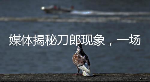 媒體揭秘刀郎現(xiàn)象，一場(chǎng)席卷全國(guó)的龍卷風(fēng)