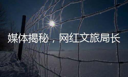 媒體揭秘，網(wǎng)紅文旅局長(zhǎng)解偉因傷人被拘事件始末
