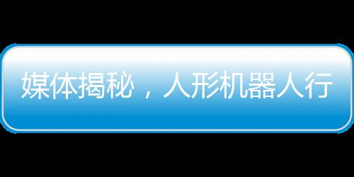 媒體揭秘，人形機(jī)器人行業(yè)面臨價(jià)格戰(zhàn)——如何在激烈競(jìng)爭(zhēng)中謀求生存與發(fā)展