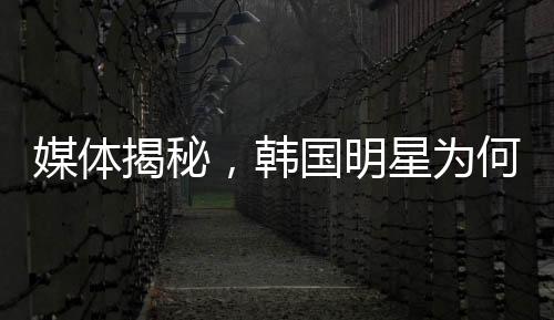 媒體揭秘，韓國明星為何頻頻陷入困擾與壓力——探究背后的深層原因