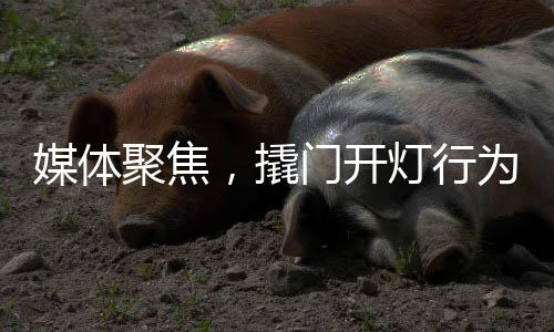 媒體聚焦，撬門開燈行為不是寵客，實(shí)為趕客