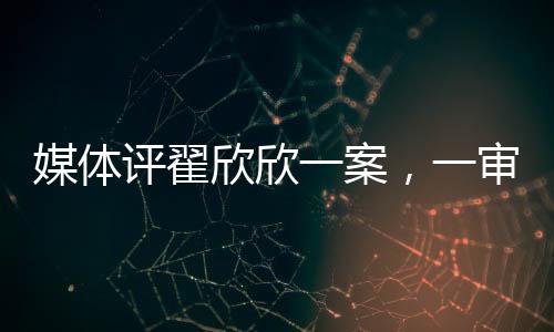 媒體評(píng)翟欣欣一案，一審認(rèn)罪認(rèn)罰，法律如何衡量情感與正義？