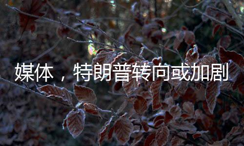 媒體，特朗普轉(zhuǎn)向或加劇美股拋售