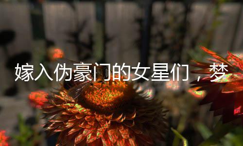 嫁入偽豪門的女星們，夢想與現(xiàn)實(shí)間的困局
