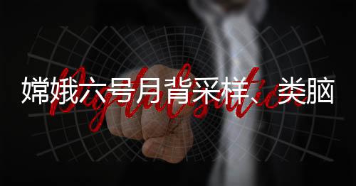 嫦娥六號(hào)月背采樣、類腦互補(bǔ)視覺(jué)芯片等入選2024中國(guó)十大科技進(jìn)展