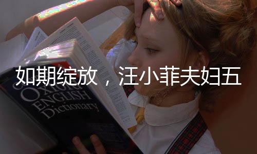 如期綻放，汪小菲夫婦五月婚禮盛大舉行
