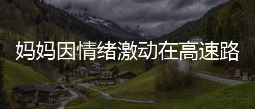 媽媽因情緒激動(dòng)在高速路邊停車下車打孩子，引發(fā)社會(huì)關(guān)注