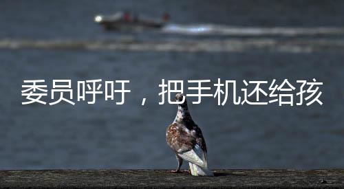 委員呼吁，把手機(jī)還給孩子——關(guān)于數(shù)字化時(shí)代的兒童教育探討