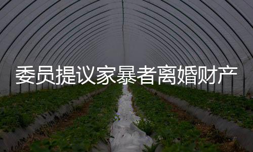 委員提議家暴者離婚財產分配需少分或不分，引起社會熱議