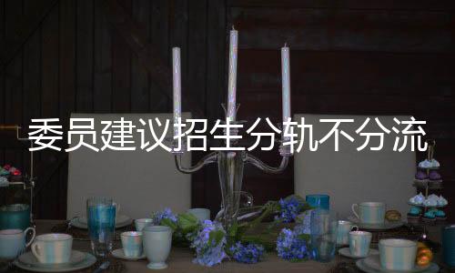 委員建議招生分軌不分流，探討多元化招生路徑與平等教育機遇