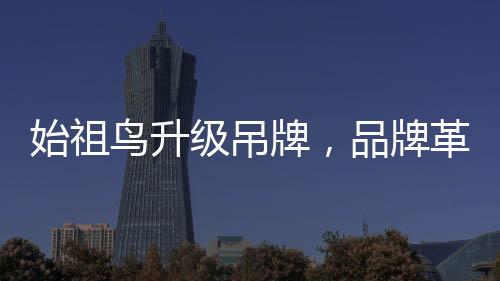 始祖鳥(niǎo)升級(jí)吊牌，品牌革新與時(shí)尚魅力的融合篇章