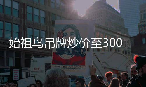 始祖鳥吊牌炒價至300元，探索時尚界的珍稀收藏品現(xiàn)象