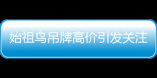 始祖鳥(niǎo)吊牌高價(jià)引發(fā)關(guān)注，一張吊牌被炒到300元