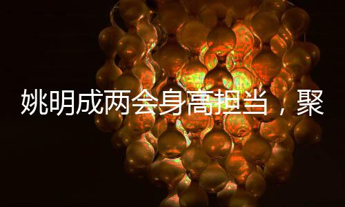 姚明成兩會(huì)身高擔(dān)當(dāng)，聚焦體育界的代表與期待