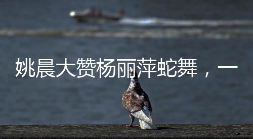 姚晨大贊楊麗萍蛇舞，一場(chǎng)跨越藝術(shù)的驚艷碰撞